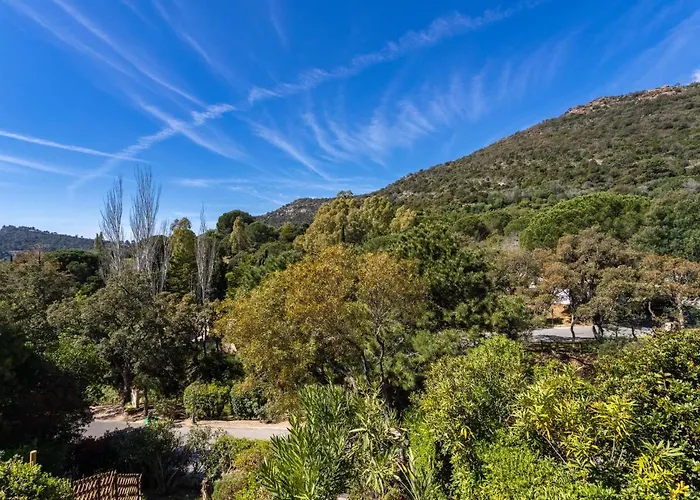 Apartment Les Mas De Pramousquier-11 By Interhome